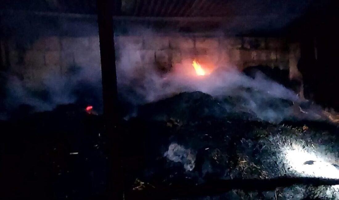 Adana’nın Kozan ilçesinde bir ahırda çıkan yangında 5 inek telef