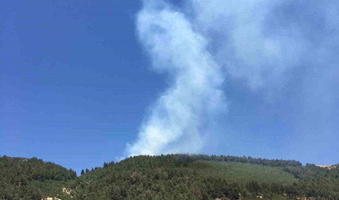 Kahramanmaraş Ahır Dağı’nda çıkan bahçe yangınına müdahale başladı. Yangın, Ahır