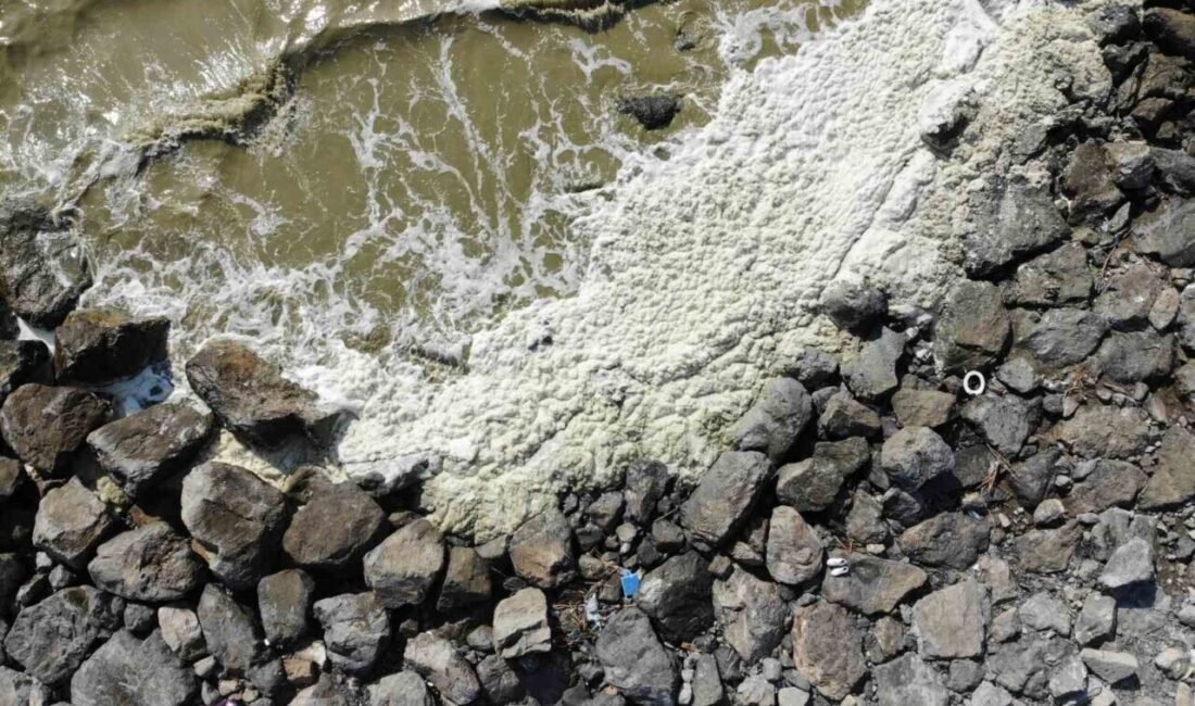 HATAY (İHA) – Hatay’ın Arsuz ilçesi sahilinde su yüzeyinde oluşan