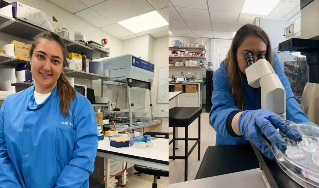 Alanya Alaaddin Keykubat Üniversitesi (ALKÜ) Tıp Fakültesi Dr. Öğr. Üyesi