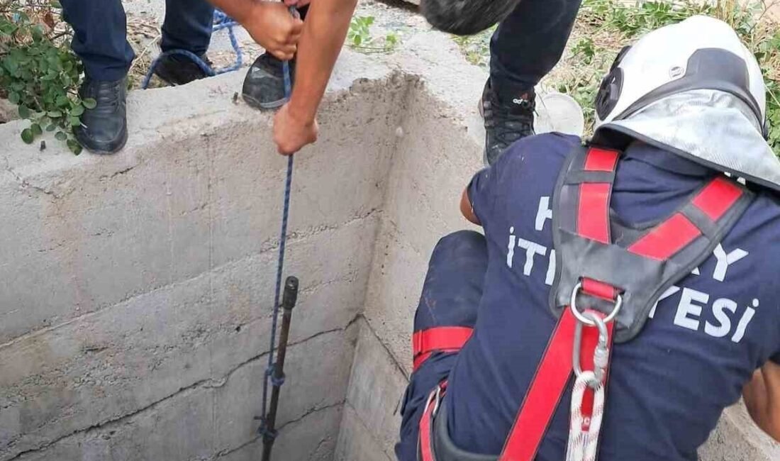Hatay’da 10 metre derinliğindeki kuyuya düşen köpek, itfaiye ekipleri tarafından