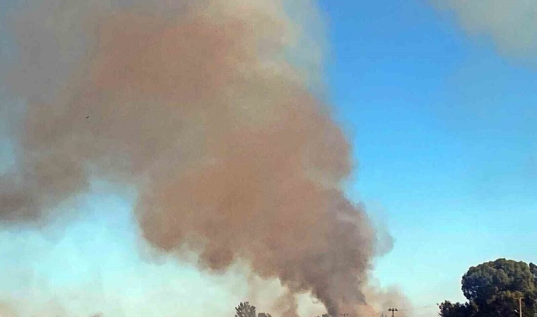 Antalya’da 3 farklı yerde çıkan kargılık yangını çıkıp iş yeri