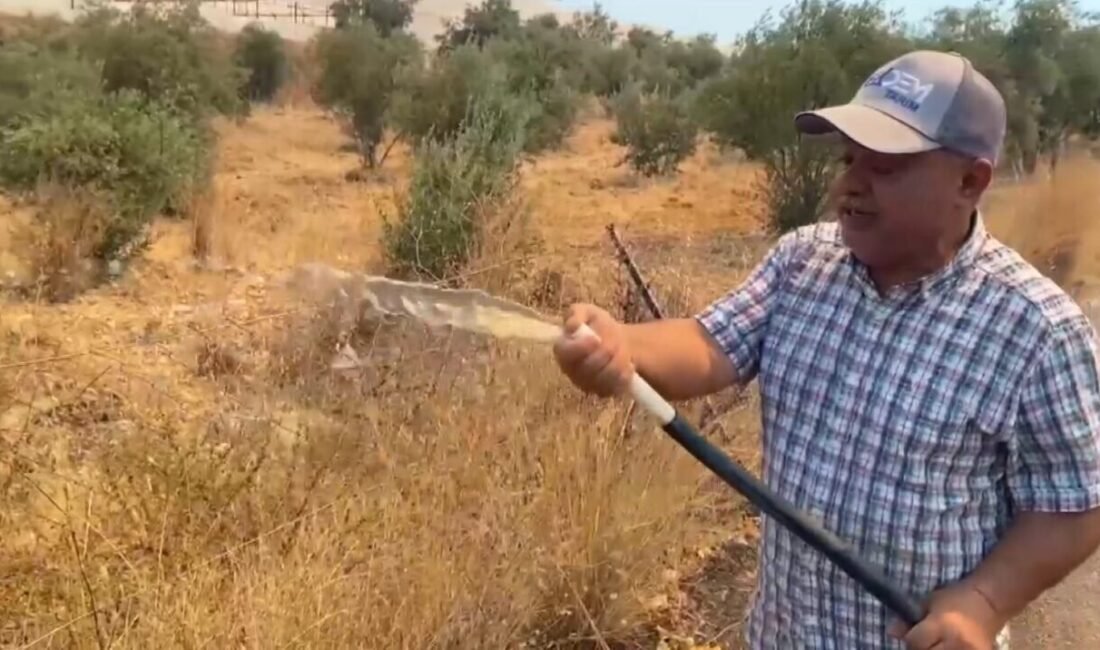 Antalya’nın Aksu ilçesinde ormanlık alanda çıkan yangın, ilçe halkında paniğe