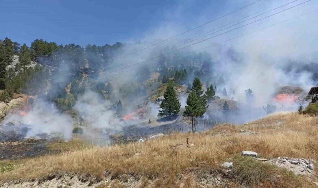 Antalya’nın Alanya ilçesine bağlı Söğüt Yaylası’nda ormanlık alanda yangın çıktı.