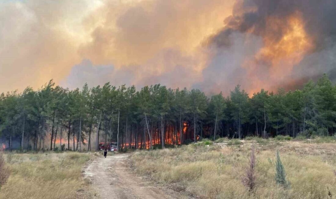 Antalya’nın Aksu ilçesindeki ormanlık alanda yangın çıktı. Ekiplerin havadan ve