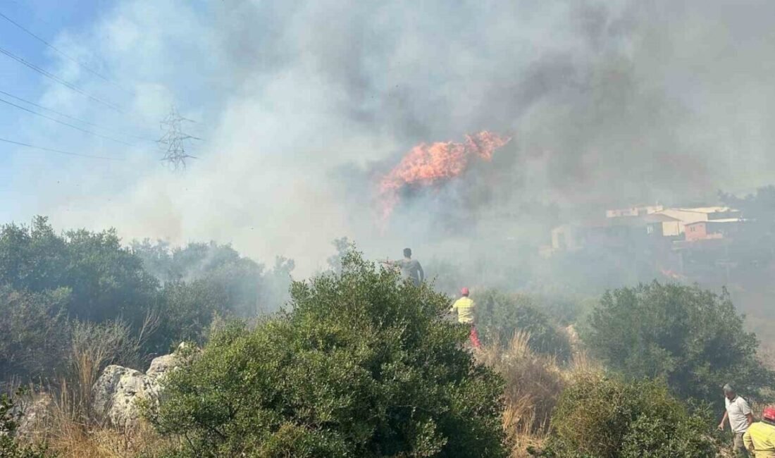 Antalya’nın Aksu ilçesinde yerleşim alanına yakın ağaçlık alanda yangın çıktı.