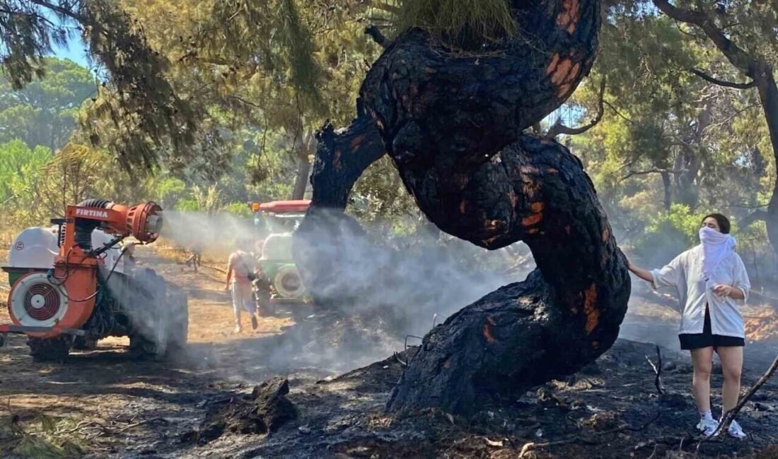 Antalya’nın Muratpaşa çıkan orman yangını, havadan ve karadan müdahale sonucu