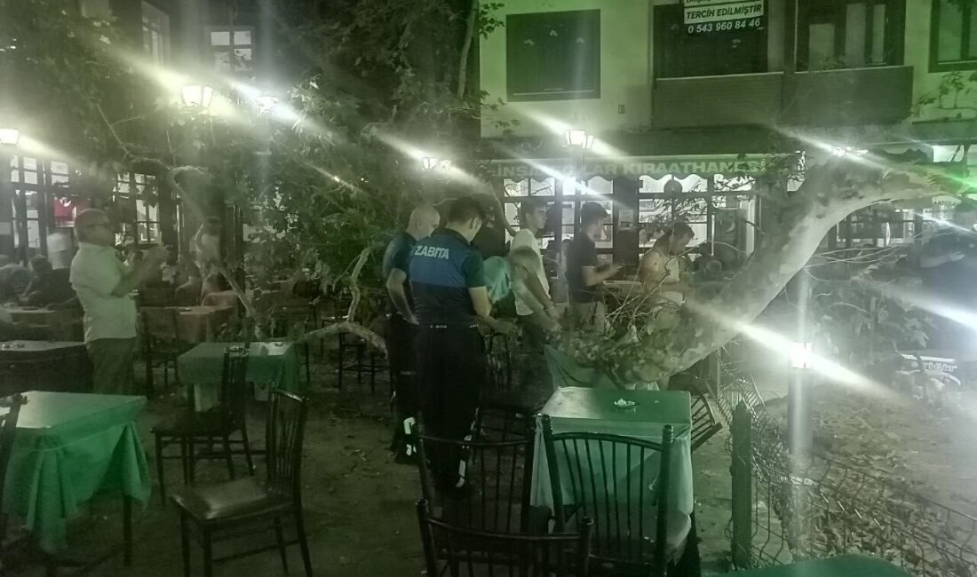 Isparta’nın Yalvaç ilçesindeki tarihi çınar ağacının dalı, çay içip sohbet