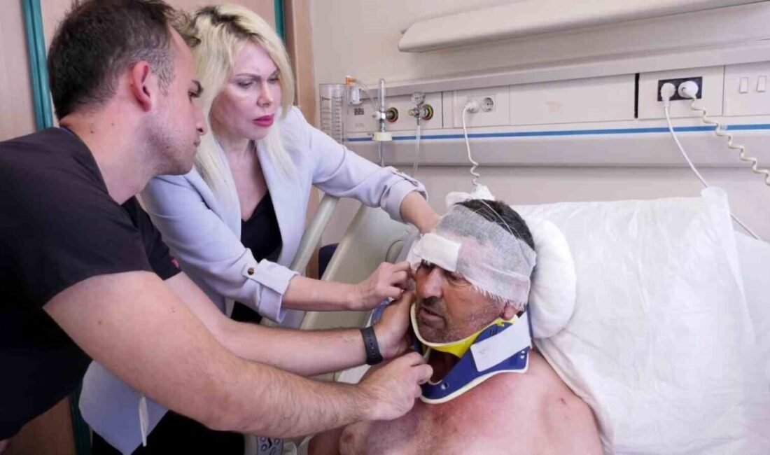 Antalya’da hayvan parkında kafesten kaçan aslanın saldırısı sonucu yaralanan çiftçi