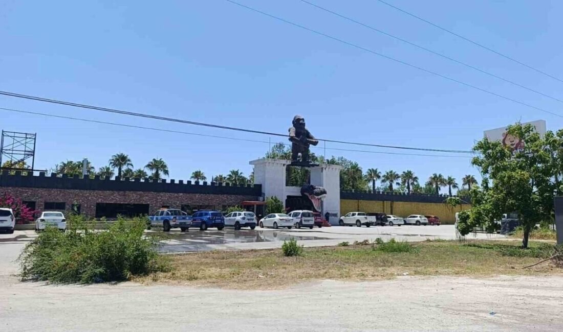 Antalya’nın Manavgat ilçesinde bir çiftçiye tarlada saldırdıktan sonra ormanlık alanda