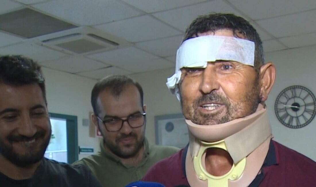 Antalya’da hayvan parkında kafesten kaçan aslanın saldırısı sonucu yaralanan çiftçi