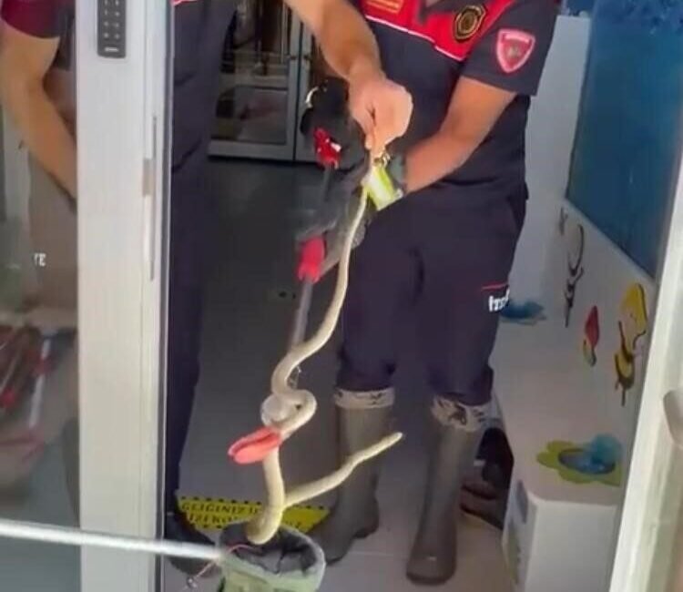 Burdur’da bir evin ayakkabılığında fark edilen yılan, itfaiye ekipleri tarafından