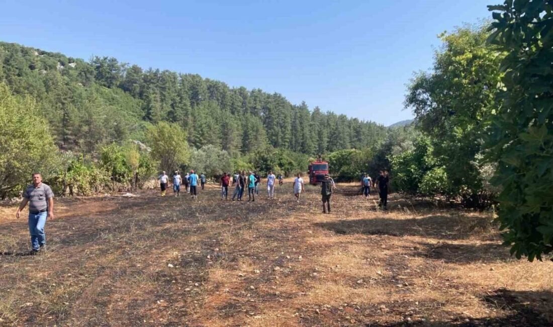 Burdur’un Bucak ilçesine bağlı Kayı köyünde çıkan arazi yangını, ekiplerin