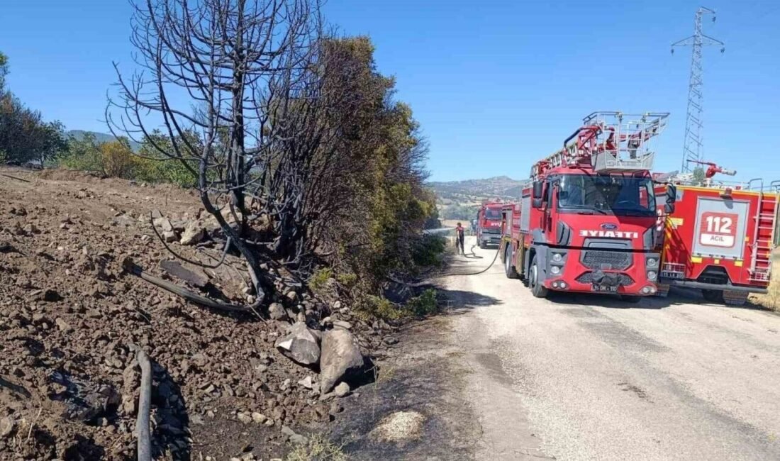 Burdur merkeze bağlı Örencik köyü Akçeşme mevkiinde çıkan yangında, ceviz