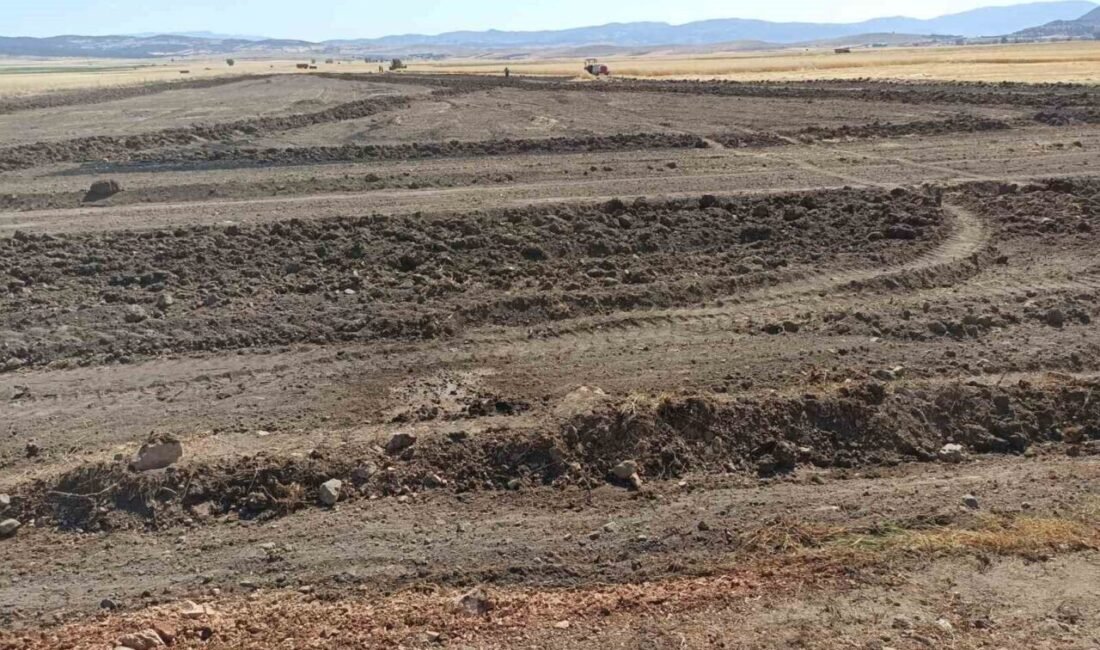 Burdur’un Yeşilova ilçesi Büyükyaka köyünde çıkan arazi yangını, köylülerin traktörleriyle