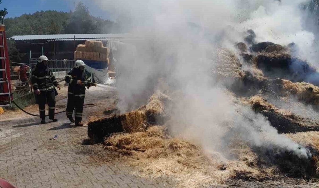 Burdur merkeze bağlı Çendik köyünde çıkan yangında 250 adet saman