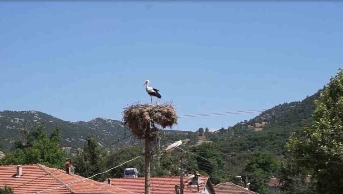 Burdur’un Gölhisar ilçesine bağlı Hisarardı Köyü, tam bir asırdır her