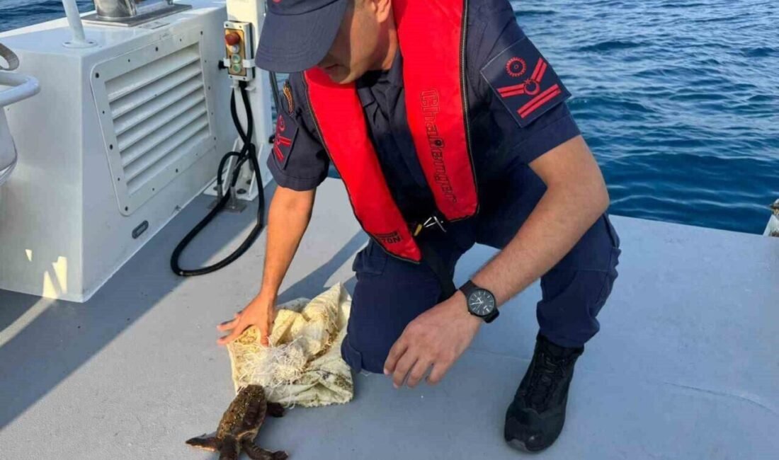 Antalya’nın Manavgat ilçesi açıklarında çuvala ayağı dolanmış halde bulunan ve