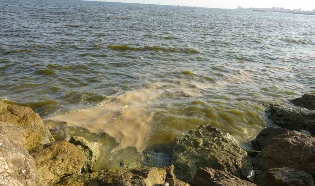 Doğu Akdeniz’de 321 kilometre kıyısı bulunan Mersin’de turizm noktalarının da