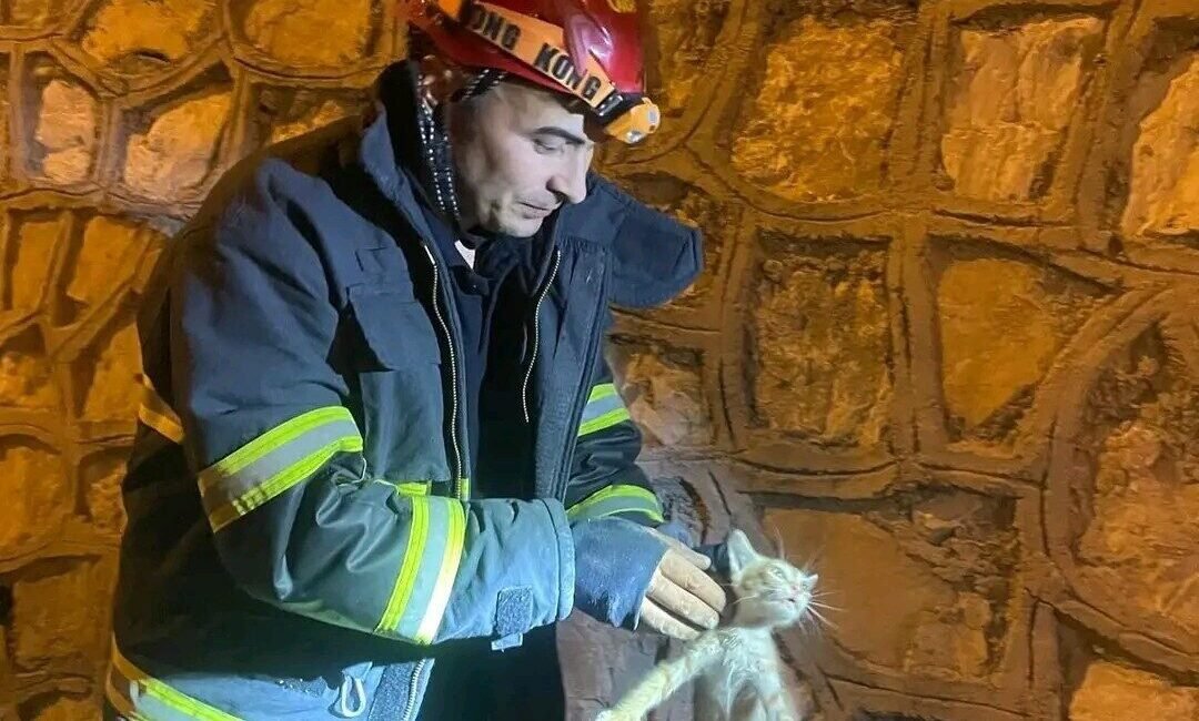 Hatay’ın Antakya ilçesinde duvar arasına sıkışan yavru kedi itfaiye ekipleri