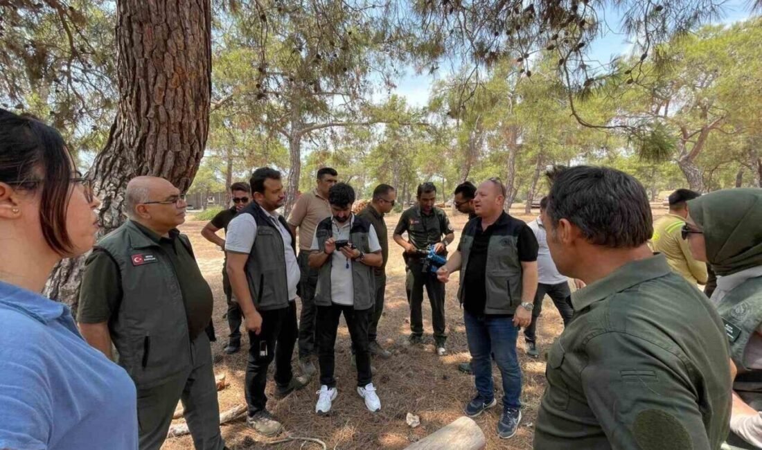 Mersin Orman Bölge Müdürlüğü’ne bağlı Erdemli Orman İşletme Müdürlüğü teknik