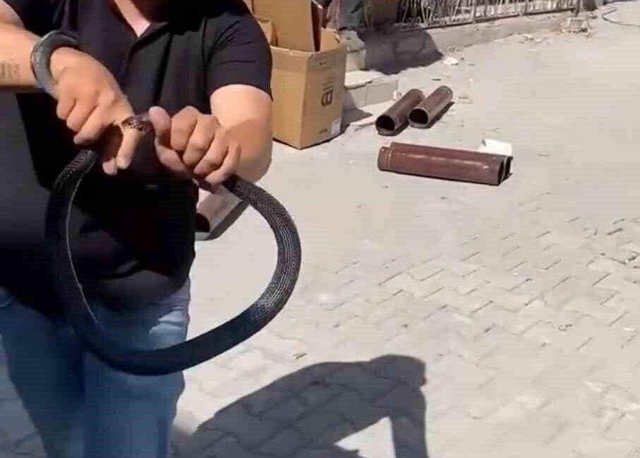 Hatay’ın Payas ilçesinde yaşayan ve bölgede “Yılancı Kemal” olarak tanınan