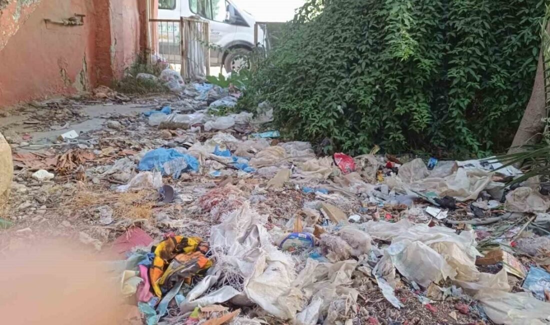 Mersin’in Tarsus ilçesinde eski boş bir evin bahçesinden kamyon dolusu