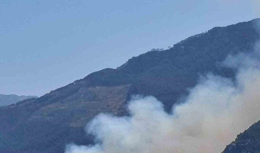 Antalya’nın Gazipaşa ilçesinde yerleşim yerine yakın bulunan ormanlık alanda yangın