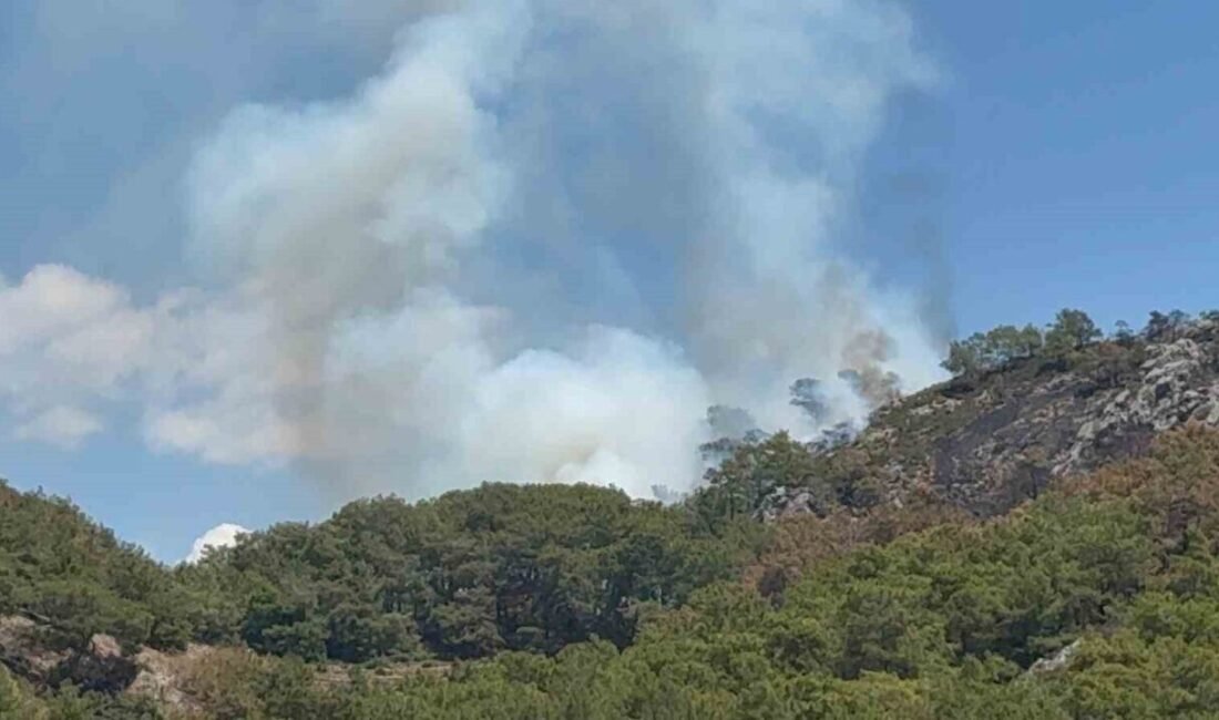 Antalya’nın Gazipaşa ilçesinde geçtiğimiz günlerde orman yangınının meydana geldiği Karadağ
