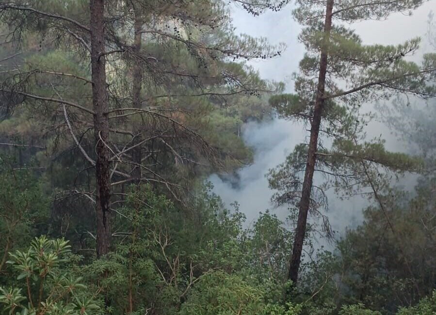 Osmaniye’nin Hasanbeyli ilçesinde çıkan orman yangını ekiplerin ve köylülerin karadan