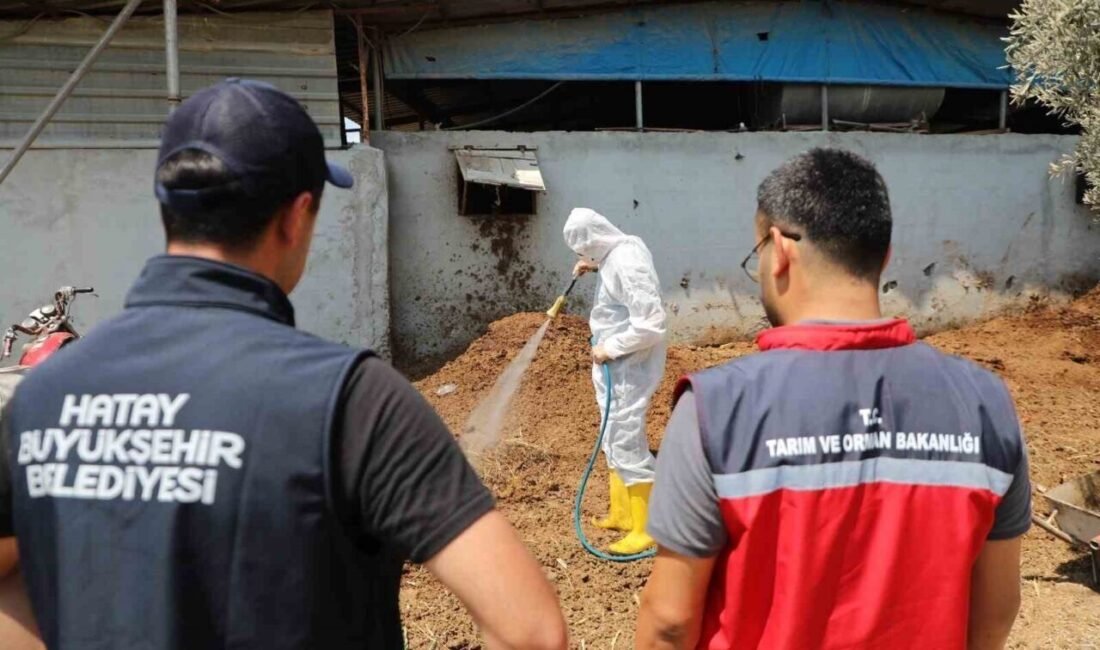 Hatay Büyükşehir Belediyesi (HBB), üreticilerin desteklenmesi ve tarımsal verimliliğin artırılması