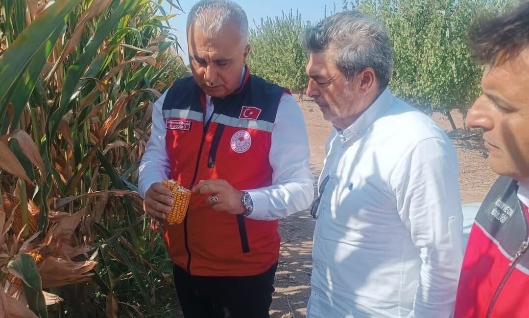 Hatay’da Tarım ve Orman İl Müdürü Abdurrahman Türkmen, hasat öncesinde