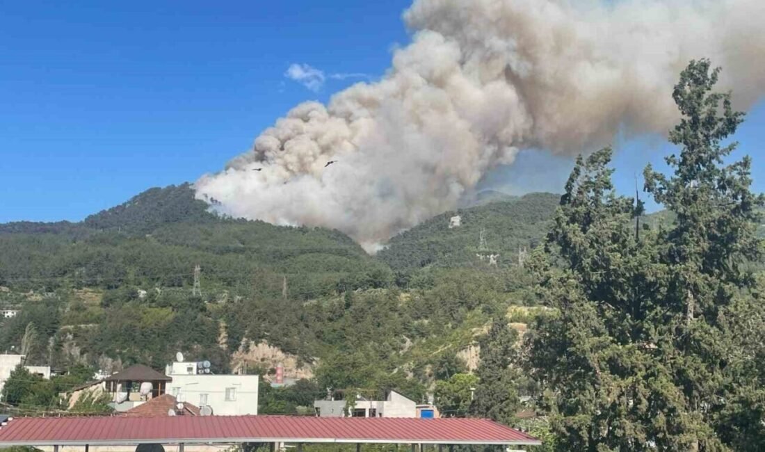 Hatay’da ormanlık alanda yangın çıktı. Dörtyol ilçesi Kırmızı Burun ile