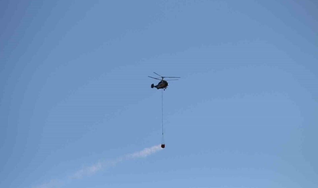 Hatay’ın Dörtyol ilçesinde dün çıkan orman yangınında günün ilk ışığıyla