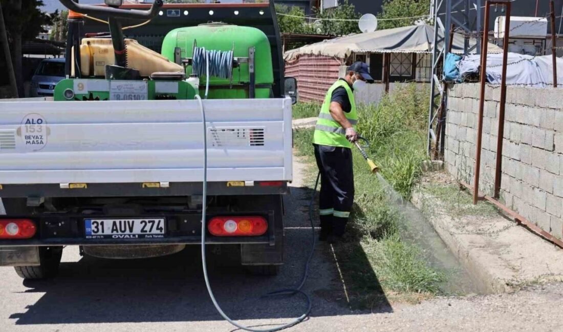 Hatay Büyükşehir Belediyesi (HBB), kent genelinde sinek, sivrisinek, larva ve