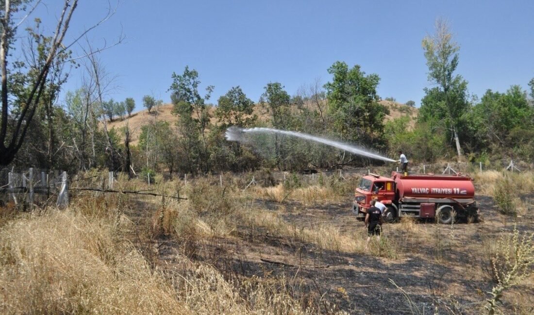 Isparta’nın Yalvaç ilçesinde bir hobi bahçesinde kuru otlardan yangın çıktı.