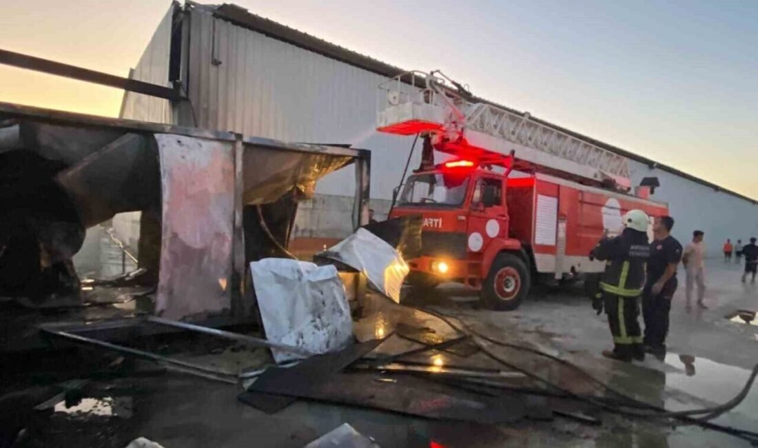 Antalya’nın Serik ilçesinde plastik kasa deposunda çalışan işçilerin kaldığı konteynerde