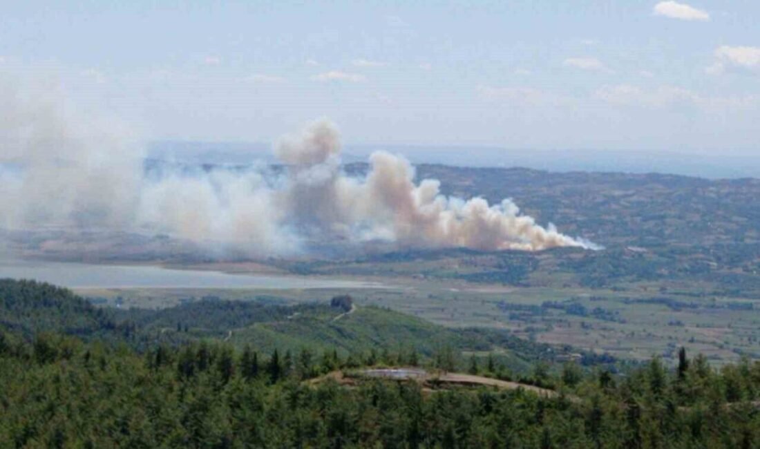 Kahramanmaraş’ın Andırın ilçesine bağlı Kıyıkcı köyünde ormanlık alanda yangın çıktı.