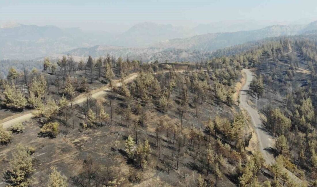 Kahramanmaraş’ta ormanlık alanda cumartesi günü çıkan 3’üncü günün sonunda kontrol