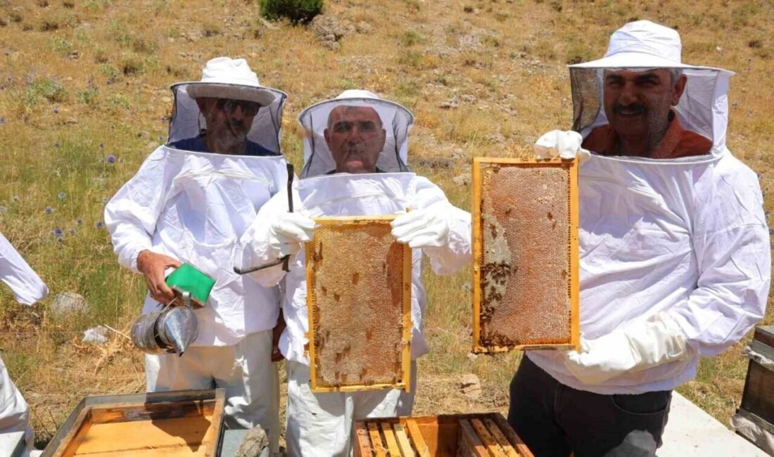 Kahramanmaraş’ın Onikişubat ilçesinde zengin florası ve temiz havasıyla bilinen Engizek