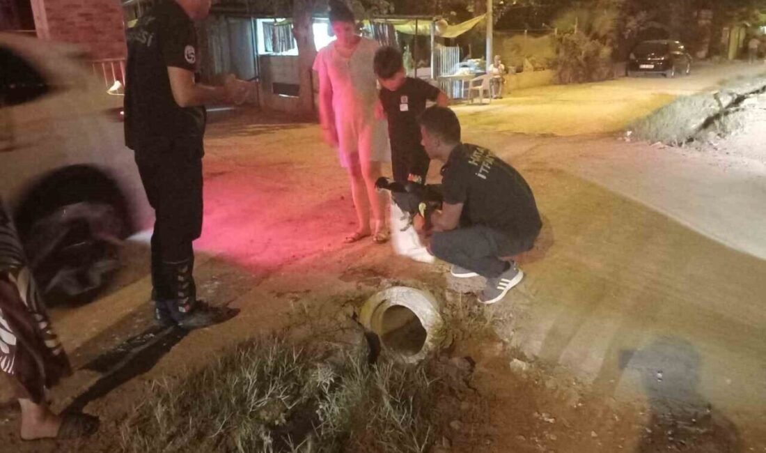 Hatay’ın Samandağ ilçesinde kanalizasyon borusuna sıkışan yavru sokak köpeği, itfaiye
