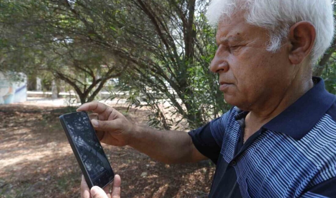 Antalya’nın Kemer açıklarında çekildiği öne sürülen köpekbalığı videosu tepki çekti.