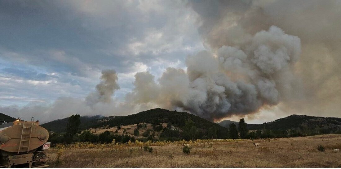 Konya’nın Doğanhisar ilçesinde sabah saatlerinde başlayan orman yangını, rüzgarın etkisiyle