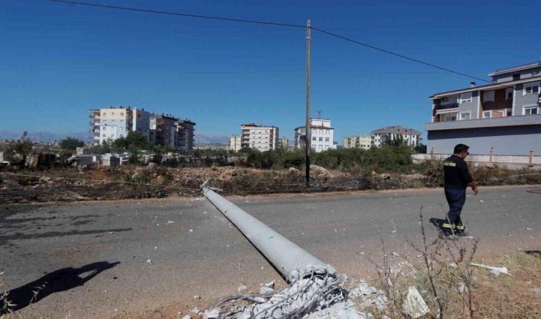 Antalya’da önüne çıkan köpeğe çarpmamak için sürücü direksiyonu kırdı. Aracın