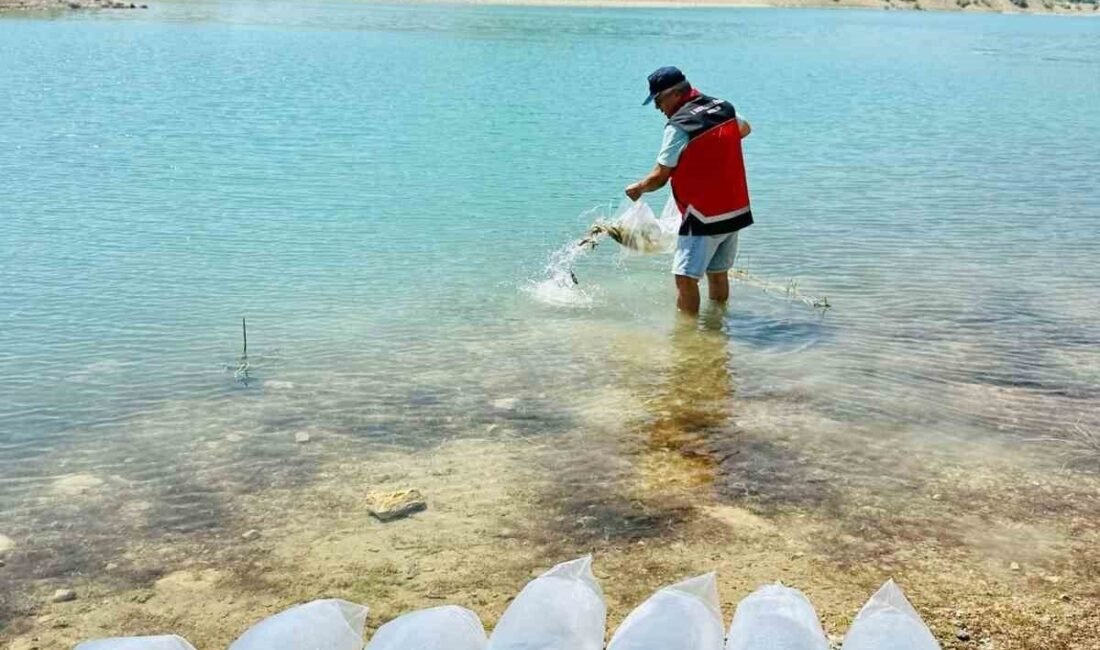 Tarım ve Orman Bakanlığı tarafından yürütülen “Su Kaynaklarını Balıklandırma Projesi”