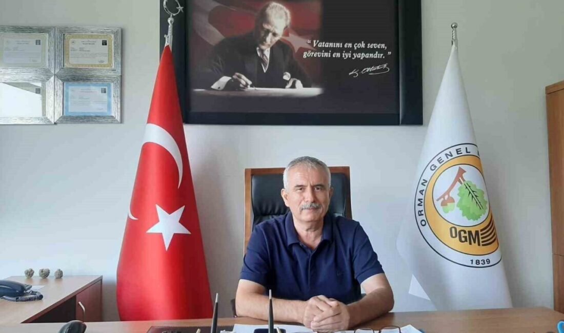 Kumluca Orman İşletme Müdürü Cengiz Okudan, Haziran, Temmuz ve Eylül