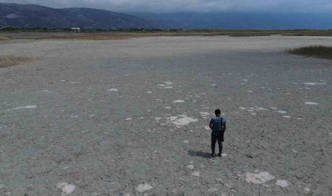 HATAY (İHA) – Hatay’da son 65 yılın en kurak yılının