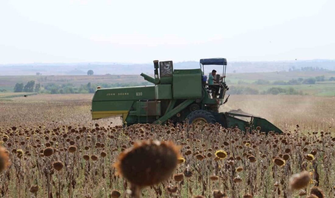 Türkiye’nin önemli üretim merkezlerinden Adana’da aşırı sıcaklık ve poyraz nedeniyle