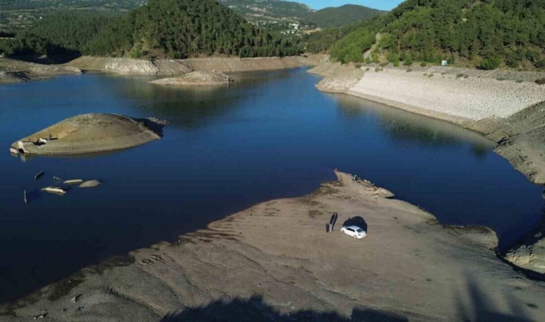 Hatay’da son 65 yılın en kurak yılının yaşanmasıyla birlikte Yayladağı