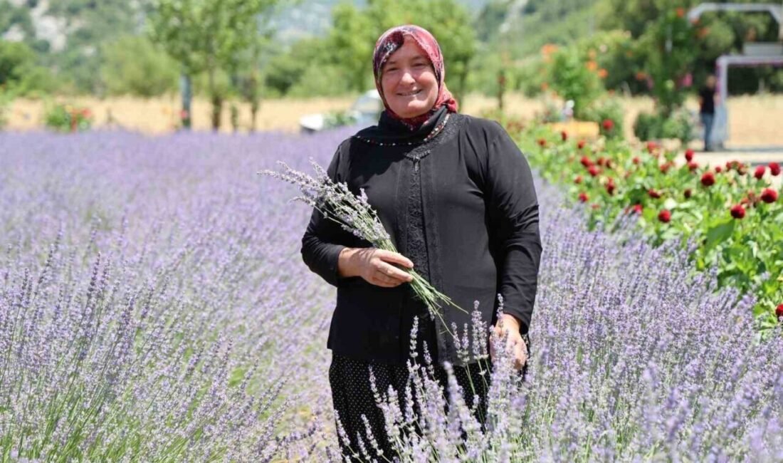 Adana’nın Feke ilçesinde, 5 yıl önce devlet desteği ile desteklenen